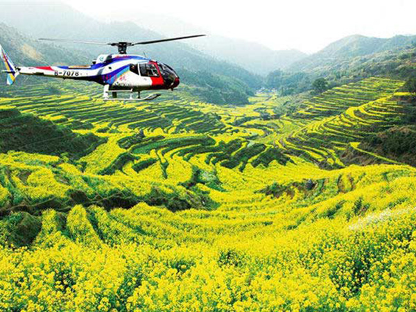 1490677754777669.jpg 2.jpg