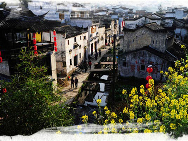 1490677885800714.jpg 6.jpg