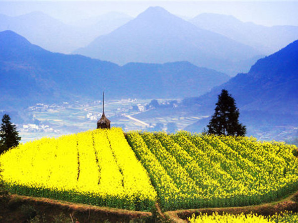 1490677971886855.jpg 9.jpg